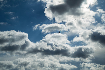 Obraz premium online translator bright blue sky with clouds and clouds