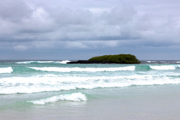 Galàpagos isole dell'Ecuador