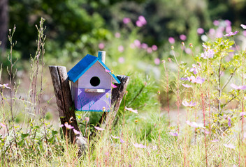 Landscape with bird's house
