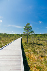 Fototapeta na wymiar Vanishing wooden footpath through bog area