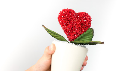 Hand holding heart flower pot enviromental care concept.