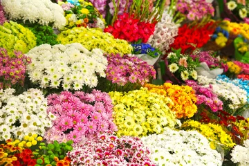 Crédence de cuisine en verre imprimé Fleuriste Plenty of colorful flowers in flower shop
