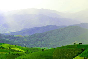 A rice field that made on a hill by countryside people with them tradition cultural
