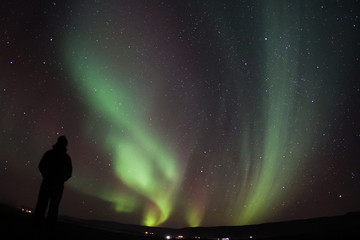 the northern lights experience