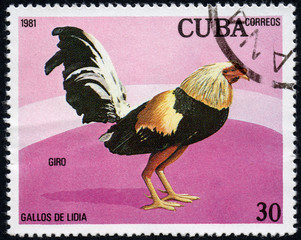 UKRAINE - CIRCA 2017: A stamp printed in Cuba, shows a cock Giro, the series Fighting cocks, circa...