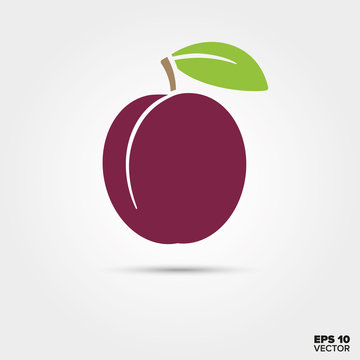 Prune or plum fruit with leaf vector icon