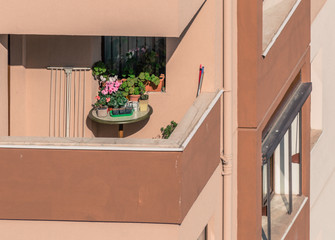 Distant view of several pink flowers in a balcony