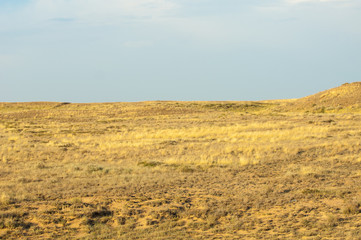 Steppe in the summer. Central Asia Kazakhstan