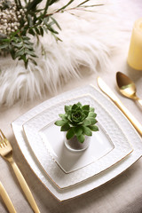 Obraz na płótnie Canvas Table served with succulents for dinner