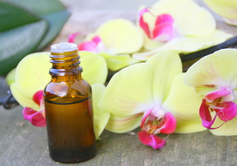 huile essentielle d'orchidée jaune sur bois