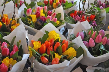 Crédence de cuisine en verre imprimé Narcisse Colorful sprint tulip and daffodil floral bouquets
