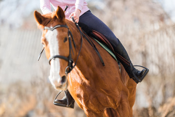 Fototapeta premium Young girl riding a horse