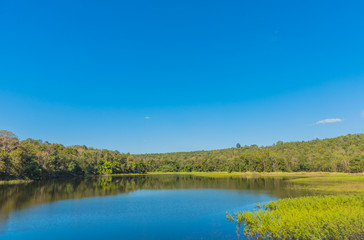 Obraz na płótnie Canvas reservoir and tree in background .