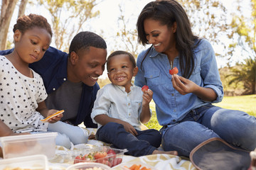 Family Enjoying Summer Picnic In Park Together