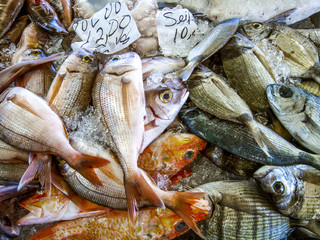 Fish market, Portugal, Madeira, Santa Cruz