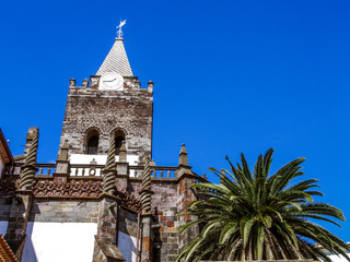 Fototapeta na wymiar Funchal, church, palm, Portugal, Madeira