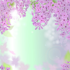 Spring background with pink and purple flowers of lilac flowers. Can be used for background, wallpaper, greeting card web banner.