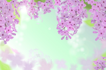 Vector web banners with purple, pink, blue and white lilac flowers.