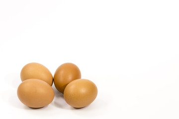 isolate egg