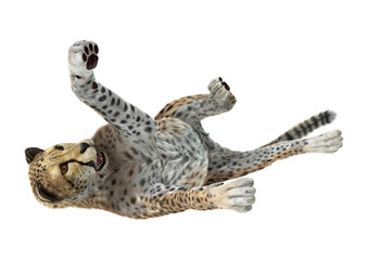 3D Rendering Big Cat Cheetah on White