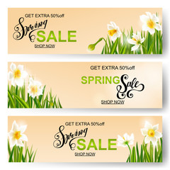 Vector spring nature background, daffodil flowers. - 138361048