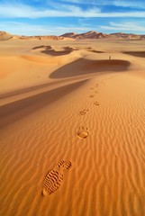 Footprints on the sand, Sahara desert, Libya