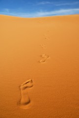 Fototapeta na wymiar Footprints on the sand, Sahara desert, Libya