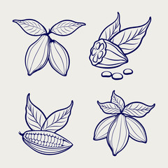 Sketch of cocoa beans and leaves on grey background. Vector illustration