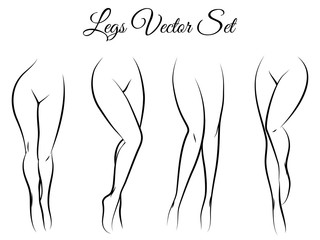 Woman legs vector set. Hand drawn woman legs isolated on white background