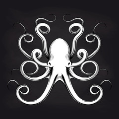Black and white octopus sketch design on blackboard background. Vector illustration