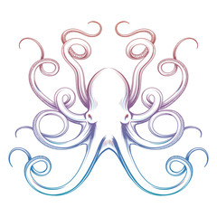 Colorful octopus sketch isolated on white background. Vector illustration