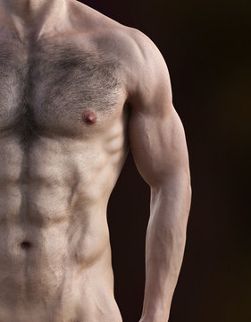 Muskul&ouml;ser Torso