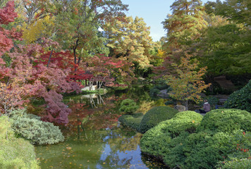 Fall colors in the Japanese Garden, Fort Worth, Texas, U.S.A.