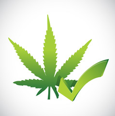marihuana leaf and approval sign concept
