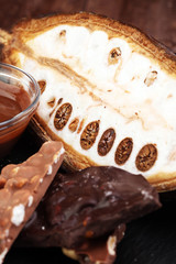 Melting chocolate and diffrent bars - stack and chips with chocolate swirl/ powder and cocoa pod with melted chocolate