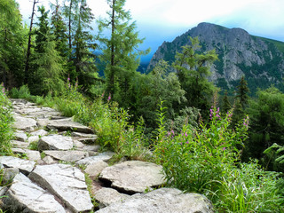 Mountain trail in High Tatras mountains, Slovakia