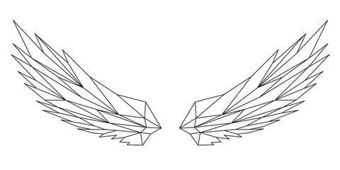 Le ali aperte, design geometrico di linee nere sullo sfondo bianco