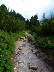 Fototapeta na wymiar Mountain trail in High Tatras mountains, Slovakia