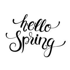 Hello Spring handwritten calligraphy lettering  isolated on white background. Vector illustration.