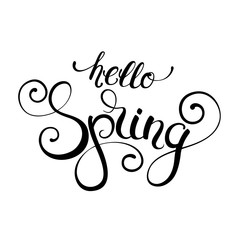 Hello Spring handwritten calligraphy lettering  isolated on white background. Vector illustration.