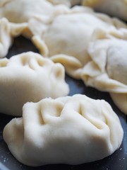 Jiaozi chinese dumlings