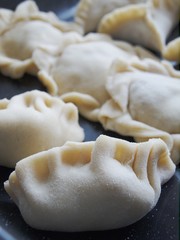 Jiaozi chinese dumlings