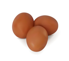 Realistic vector image of yellow eggs