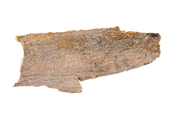 Piece of tree bark, isolated on white background.