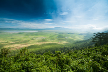 Fototapeta na wymiar Ngorongoro crater, Tanzania, Africa