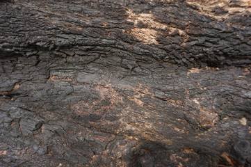 burning wood texture