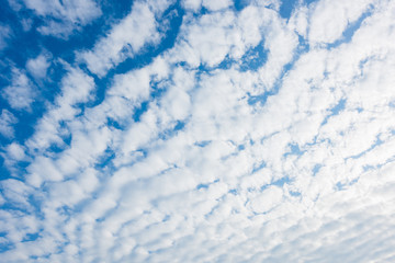 Fototapeta na wymiar Beautiful cirrus clouds against the blue sky, Pattern of clouds in the blue sky, blue sky with cloud.