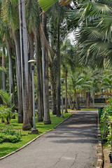 betel palm park