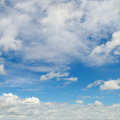 Fototapeta premium blue sky and white cumulus clouds