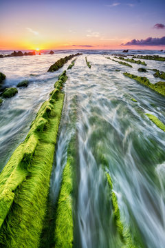 seaweed to infinite at barrika beach, Spain